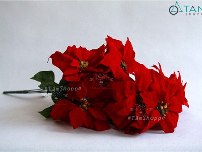 Cành hoa Trạng Nguyên 5 bông nhung đỏ lớn